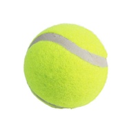 Jouet pour animaux de compagnie, balle de tennis en caoutchouc, micro-élasticité, balle interactive pour chien, balle d'entraînement, modèle CY2170-1, en stock, vente en gros