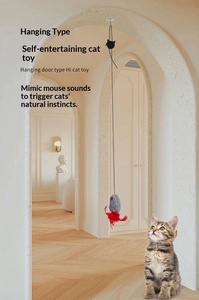 Nouveau jouet électrique écologique pour animaux de compagnie, plume <span class=keywords><strong>Yo</strong></span>-<span class=keywords><strong>Yo</strong></span> à suspendre à la porte pour le divertissement autonome des chiens, style dessin animé intelligent, pour les fêtes - Product Image 6