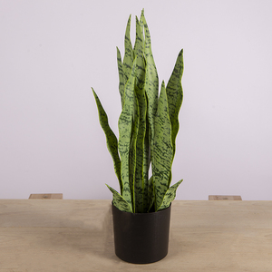 Plantes artificielles <span class=keywords><strong>de</strong></span> 50 cm en plastique, type 'Mother-in-Law's Tongue', pour décoration intérieure - Product Image 2