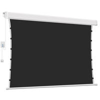 Système de cinéma maison de 120 pouces Écrans de projection à tension d'onglet 4K UHD cachés dans les écrans de projecteur motorisés au plafond