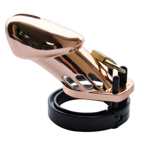 Dispositivo de castidad masculino metálico Jaula para pene Jaula de castidad con anillos - Product Image 1