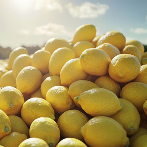 Cây trồng mới tươi hữu cơ không hạt vàng chanh từ - Product Image 6