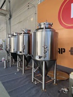 Cuve de Fermentation de Bière en Acier Inoxydable 304 de 200L avec Fond Conique