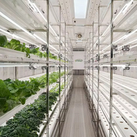 Ferme de culture hydroponique en conteneur de stockage et d'expédition pour plantes, Lyine Group, légumes-feuilles/laitue/coriandre/épinard