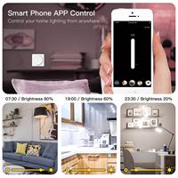 Interruptor Táctil Inteligente WiFi/ZIGBEE LangYeao, Regulador de Intensidad Continua para LED/CFL de 300W, Compatible con Alexa, Google Home, Temporizador y Programación
