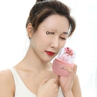 Nouveau Masque de Glace en Silicone Personnalisable en Forme de Visage de Panda pour Application et Compresse, Moule à Glace Portable pour Massage Facial, Taille Personnalisable