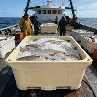 Conteneurs Isolés Directs d'Usine, Bacs à Palettes, Bacs Isolés Résistants aux UV pour le Stockage des Fruits de Mer