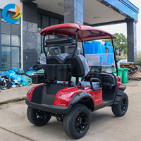 Voitures de golf électriques Robetaa homologuées CE, 2 places, avec batterie au lithium