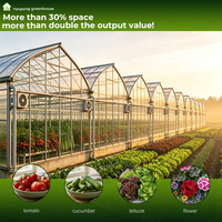 Serre Agricole Commerciale à Structure Métallique et Film Plastique, Tunnel à Tomates Multi-Span