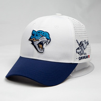 Gorra de Béisbol Personalizada de Alta Calidad al por Mayor, de 6 Paneles, de Algodón con Visera Curva, Estilo Urbano, Bordado Hip-Hop, Ropa Urbana
