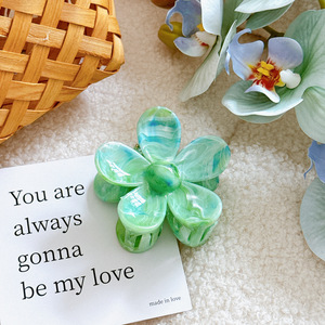 Accessoires pour cheveux pour femmes, ensemble de pinces à cheveux simples en plastique vert avocat, grandes pinces à cheveux, pinces à cheveux pour femme, vente en gros - Product Image 4