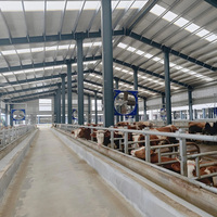 Structure en acier robuste pour bergerie, bâtiment d'élevage de moutons, étable, hangar à vaches