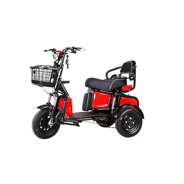 Electric Scooter with Three Wheels and Two Seats for Adults
