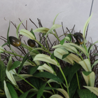 Karangan Bunga Zaitun Buatan Ukuran Besar, Daun Zaitun Palsu dengan Buah Zaitun untuk Dekorasi Pintu Depan, Dinding, dan Rumah