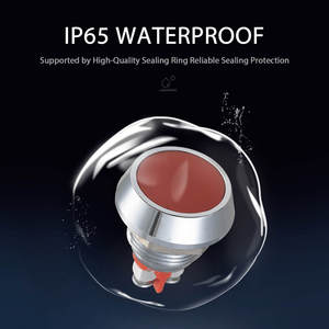 Interruptor Momentáneo Impermeable GQ12B-10P de 12 mm, 5 A, IP65, Metal, Acero Inoxidable, Cabeza Redonda Corta, 1NO, Botón Pulsador, 220 V/12 V, Colorido - Product Image 2