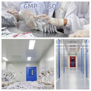 Sabervet Pet H. Pylori Antigen Kit de test rapide vétérinaire Helicobacter Pylori Antigen test Self test - Product Image 4