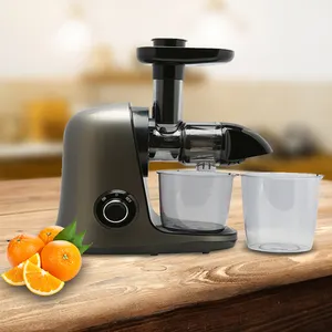 2024 Amazon Hot Sale Nama Angel Juicer Gemengde Fles Elektrische Slow Juicer Afzuigmachine Makende Juicer Blender