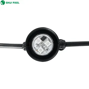 Factory Price 50mm Led Ball String Light DC12V UCS1903 RGBW Magic Color Outdoor Garden Festival Light String