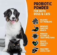 Poudre Probiotique Prix Usine pour Chiens et Chats – Soutien Immunitaire, Allergies Saisonnières, Enzymes Digestives, Inuline d'Acacia, Vitamines