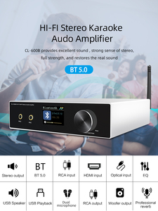 Amplificatore Audio Professionale Hi-Fi BT Stereo per Karaoke, Attrezzatura Audio di Classe <span class=keywords><strong>D</strong></span>, Amplificatore per Altoparlanti e Home Theater - Product Image 1