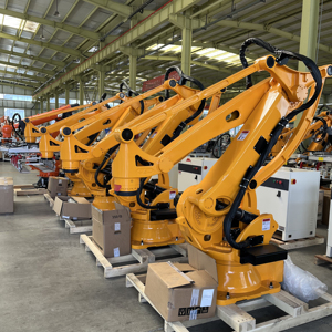 Robot de Paletización Automático y Económico de 4 y 6 Ejes para Línea de Empaquetado, Carga y Descarga - Product Image 6