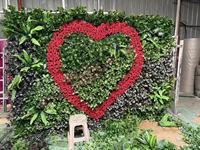 Panneau mural végétal artificiel Bagang pour extérieur, vente en gros, décoration murale végétale artificielle pour mariage en extérieur