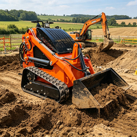 Mini-chargeuse sur chenilles diesel pour extérieur et ferme, 200kg, 300kg, 600kg, livraison gratuite, à vendre