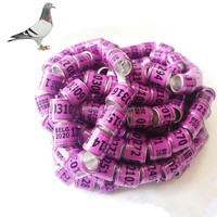 Grande qualité personnaliser Pigeon anneau 8 mm aluminium oiseau fournitures accessoires Pigeon numérique pied perroquet jambe anneaux