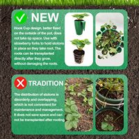 10 pièces racines nues fraise plantes outils de culture fraise semis élevage Pot fraise racines Propagation Station tasse