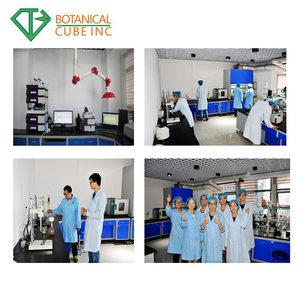 BCI Cung cấp Salvia miltiorrhiza chiết xuất Dan Shen chiết xuất 98% cryptotanshinone bột - Product Image 4