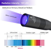 Lampe torche UV médicale TANK007 UVE2, lampe de photopolymérisation dentaire, lumière noire, rechargeable par USB, étanche IP68, haute puissance, lampe torche portable