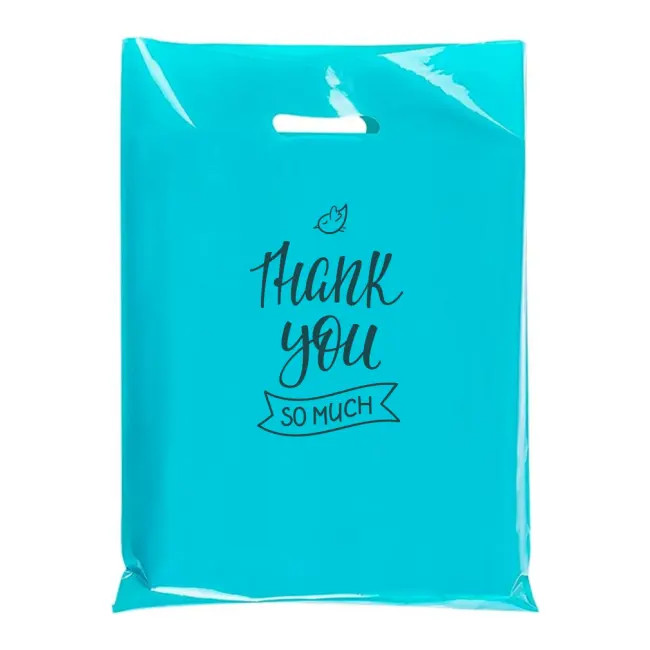 Custom Printed Logo Design LDPE/HDPE Die Cut Handle Plastic Bag Die Cut Bag Shopping Bag for Clothing/Shoe Packing