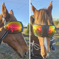 Eye Protection Horse Blinder Racing Goggles Pet Sunglass Horse Goggle for Equestrians Sports