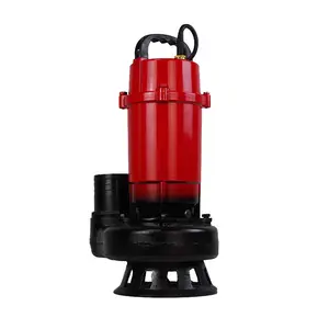 Beste Prijs Grote Flow 1.5hp 2 Hp Rvs Verticale Schoon Water Laagspanning Qx Dompelpomp