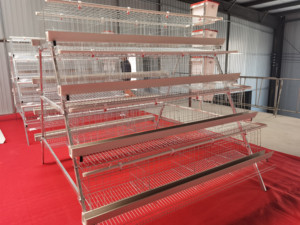 Système d'élevage moderne professionnel de type H, équipement d'élevage automatique de poulets de chair, cage à poulets à haute productivité - Product Image 2