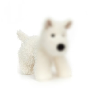 Jelly Cats - Peluches Estéticos Suaves con 500 Diseños Únicos, Peluches de Animales, Perros, Gatos, Varios Colgantes, Bolsos Cruzados de Peluche - Product Image 3