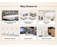 Matelas à ressorts Bonin sur mesure avec isolation des mouvements et tissu tricoté durable pour appartement de luxe