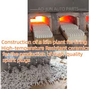 9807B-5617W IZFR6K-11 Honda CIVIC CR-V preacura Acura CL 2003 için yüksek kalite buji, RL 2005-2008 2005-2008, TL 2004-2008 - Product Image 6