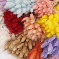 Rangkaian Bunga Kerajinan Tangan DIY Pabrik Rumput Ekor Kelinci Kering Berkualitas Tinggi Kustom 60pcs Wisuda Paskah Hari Ibu Lagurus