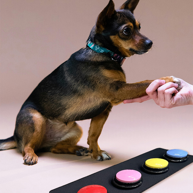 Pet Communication Recording Sound Interactive Button Dog Training Recording Sound Box Pet Puzzle Toys