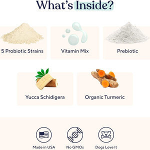 Suplementos para el cuidado de <span class=keywords><strong>la</strong></span> salud de mascotas OEM/ODM, masticables suaves inmunitarios probióticos para el apoyo de alergias estacionales que fomentan <span class=keywords><strong>la</strong></span> <span class=keywords><strong>levadura</strong></span> saludable - Product Image 6