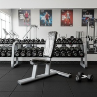 Banc multifonctionnel, équipement d'entraînement gratuit à domicile, équipement de gym, chaise d'entraînement des épaules en acier