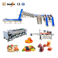 Industriële aardappelverwerkingslijn, groente- en fruitwas-, sorteer- en verpakkingslijnen, borstelrolschilmachine