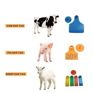 Étiquettes d'oreille animales en plastique de PE de bonne qualité pour l'étiquette d'oreille de porc de mouton de vache de bétail