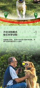 वाटरप्रूफ वायरलेस कुत्ते बाड़ प्रशिक्षण कॉलर मल्टी डॉग सिस्टम रिमोट कंट्रोल रिचार्जेबल इलेक्ट्रॉनिक पालतू प्रशिक्षण कॉलर - Product Image 5