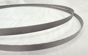 <span class=keywords><strong>Metal</strong></span> bant kesici testere bıçakları <span class=keywords><strong>M42</strong></span> M51 yüksek kobalt Bimetal şerit testere bıçağı - Product Image 2