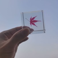 Cube de résine acrylique transparent avec feuille d'érable et fleur séchées, presse-papiers décoratif de bureau