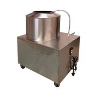 Huishoudelijke commerciële kleine roestvrijstalen aardappel- en zoete aardappel- en gemberwasmachine en -schilmachine