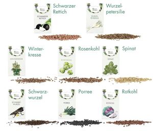 Pots de fleurs toutes saisons Lot de 8 légumes <span class=keywords><strong>d</strong></span>'<span class=keywords><strong>hiver</strong></span> pour <span class=keywords><strong>d</strong></span>élices culinaires pour l'<span class=keywords><strong>extérieur</strong></span> et la maison - Product Image 6