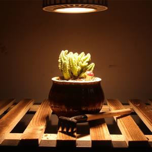 Bombilla LED de Espectro Completo PAR30 <span class=keywords><strong>para</strong></span> <span class=keywords><strong>Cultivo</strong></span> de Plantas, Flores, Vegetales y Orquídeas - Product Image 6